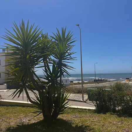 Mar De Fulles *
